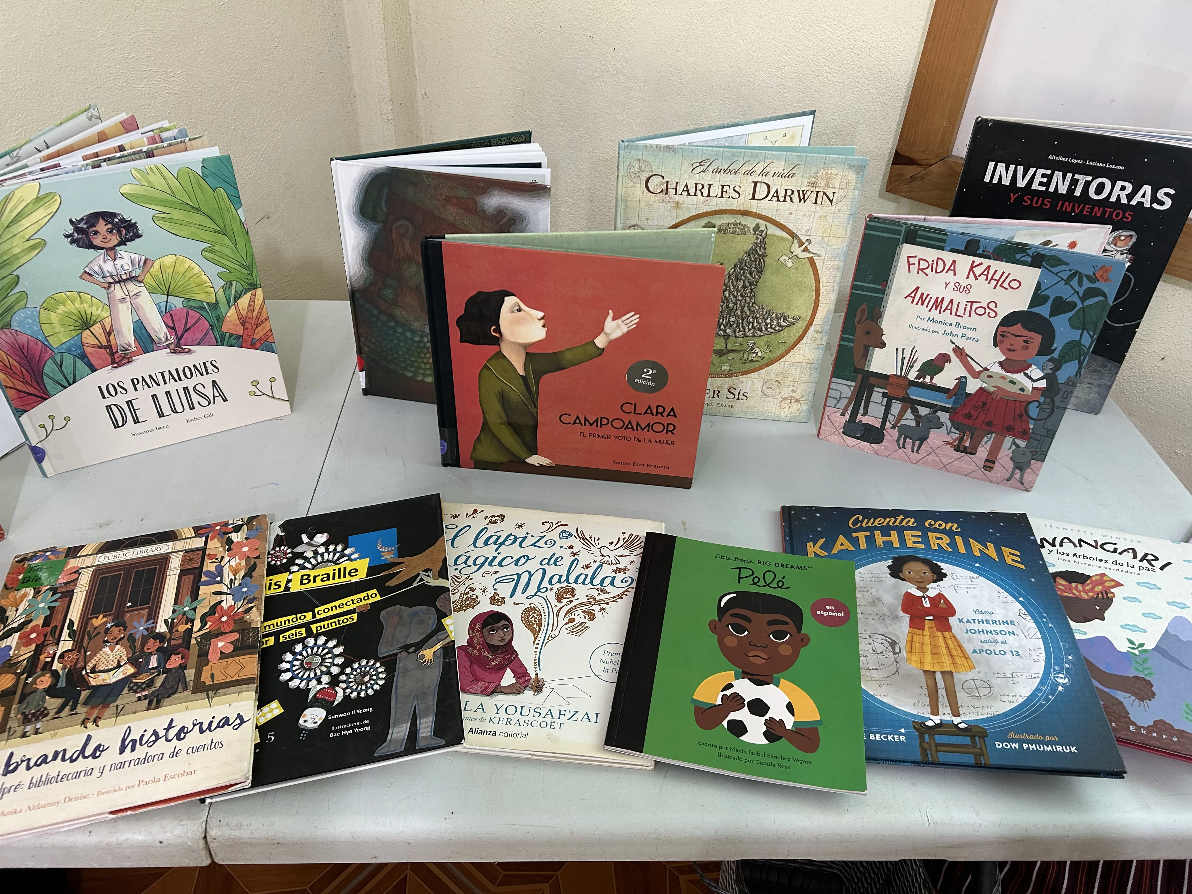 Cómo Usar Libros Biográficos